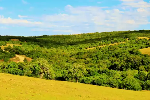 Frente de casa en venta